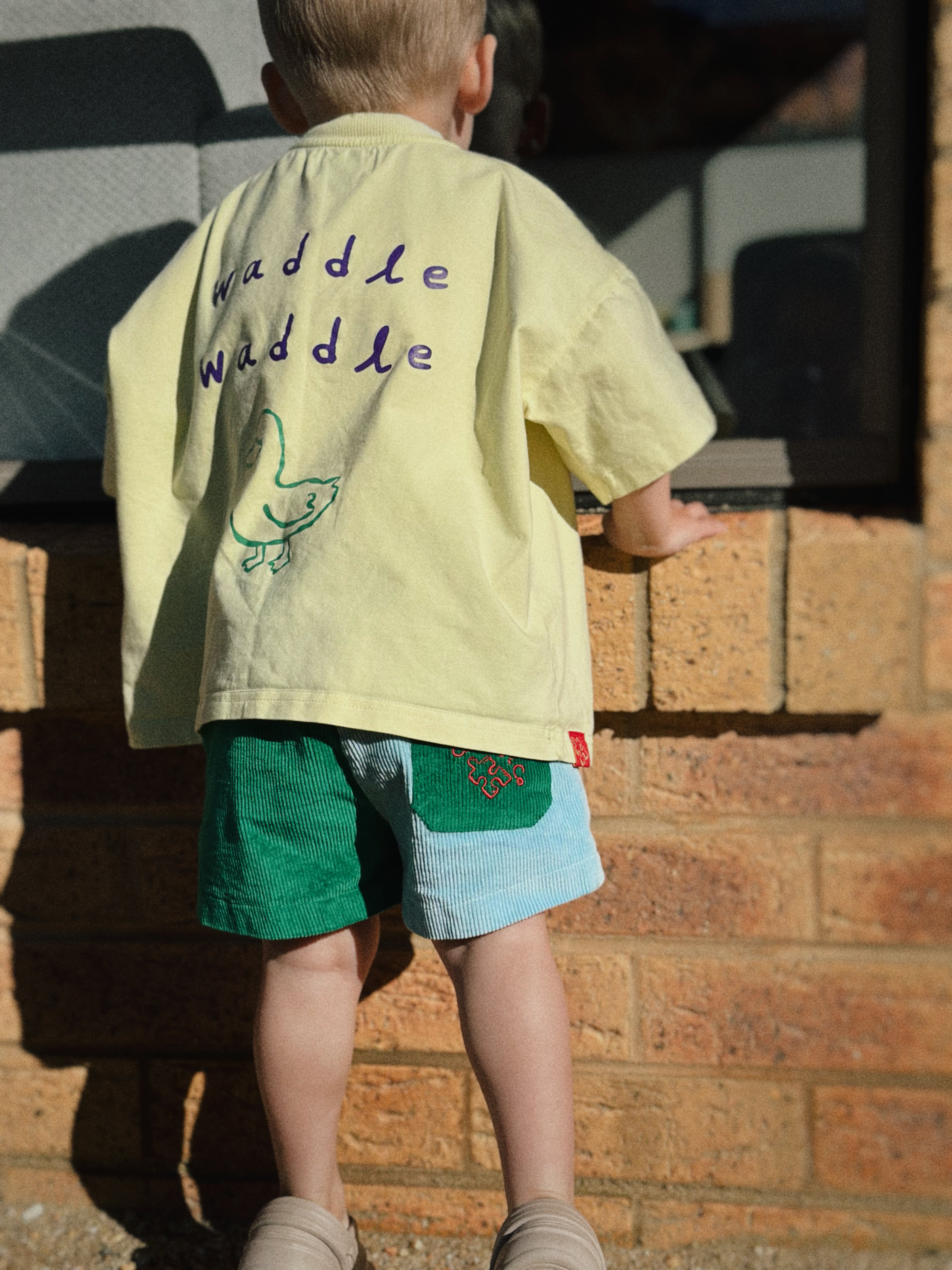 Ridge Shorts - Seaweed